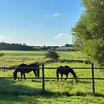 Le Wim'heureux Campagne Bazinghen